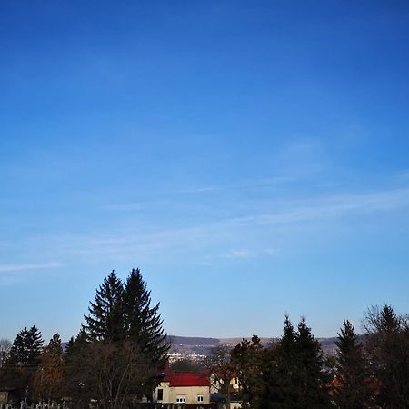 Villa-Hotel Escala Клуж-Напока Екстер'єр фото